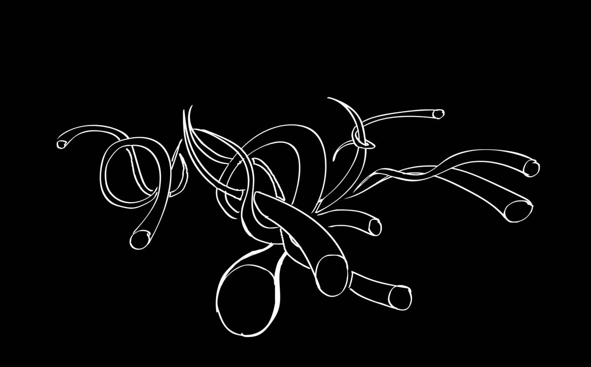 Schets: abstracte voorstelling van wormen of neuronen