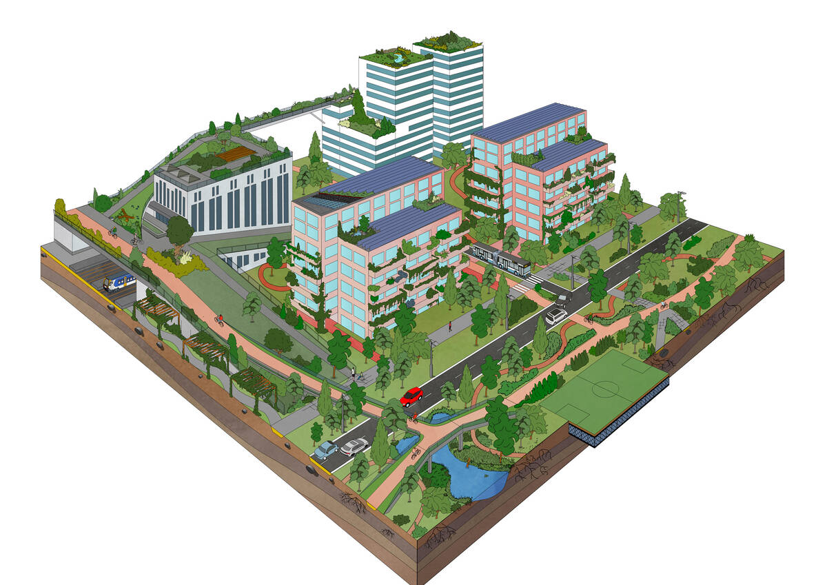 Groene, vergroende stadswijk in Amsterdam met bomen en planten