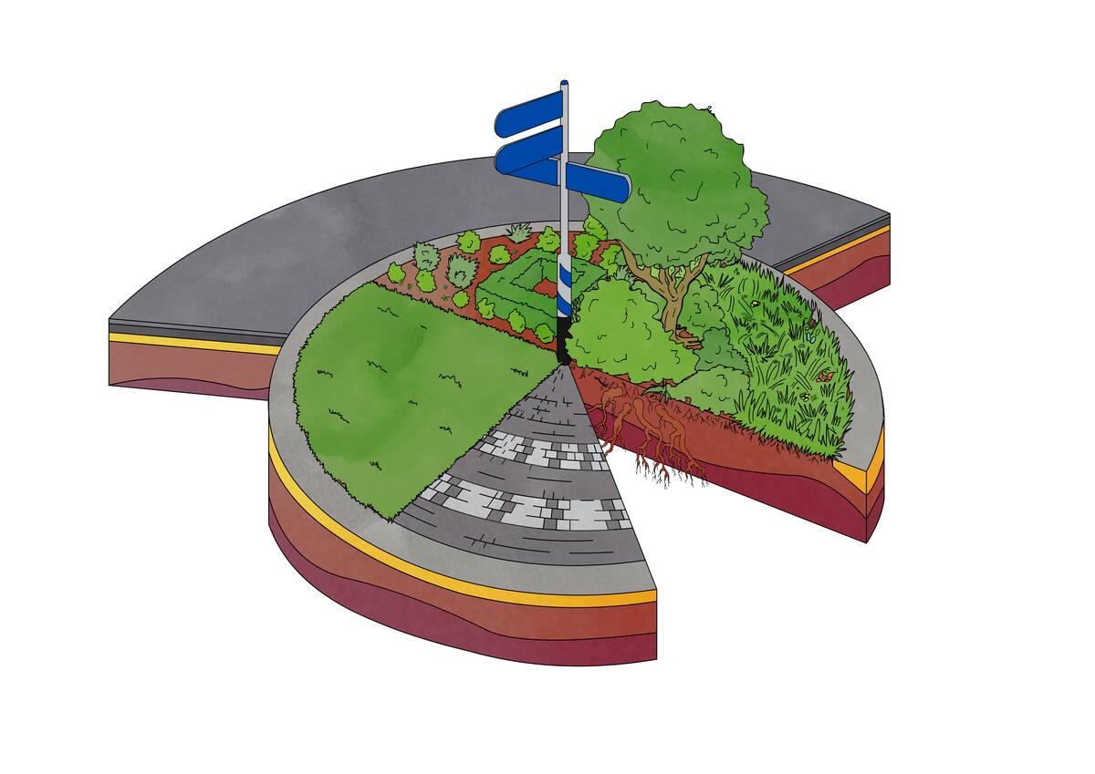 Illustratie van een rotonde met verschillende gradaties van vergroening: van tegels naar gras, wilde planten en bomen