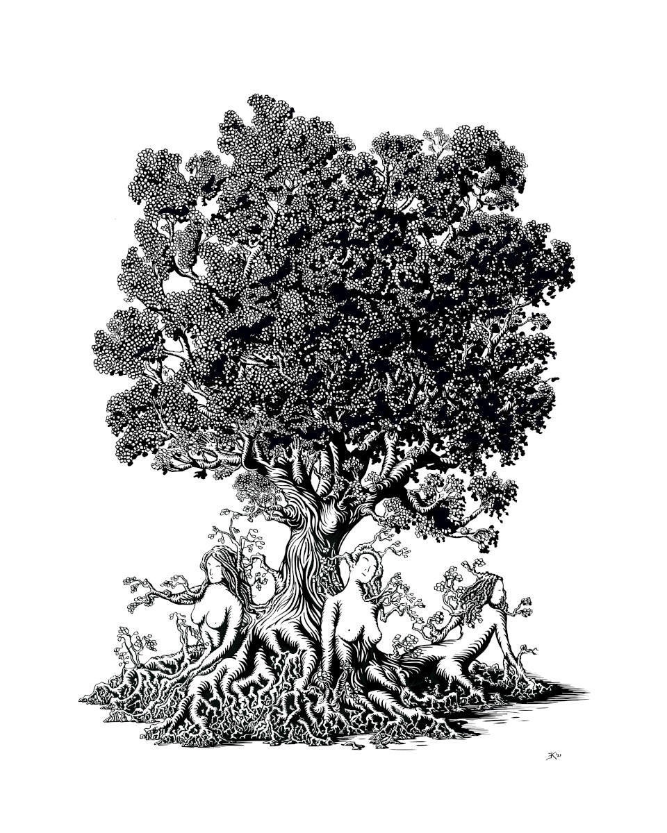 Boomzusters, tekening door Edward Kobus