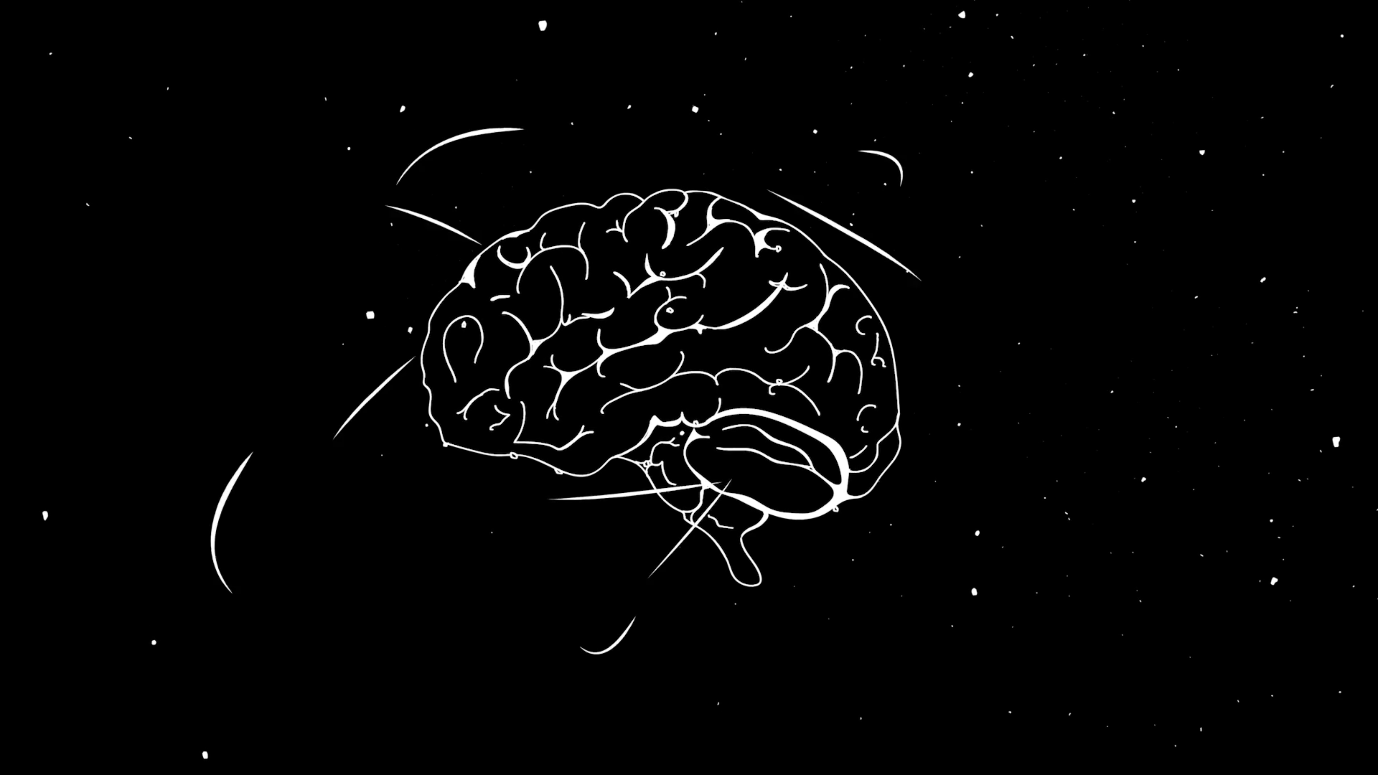 De hersenen binnen het universum